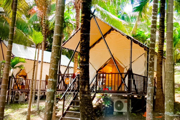 Glamping Safari Tent in the Coconut Tree Forest