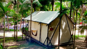 Glamping Safari Tent in the Coconut Forest