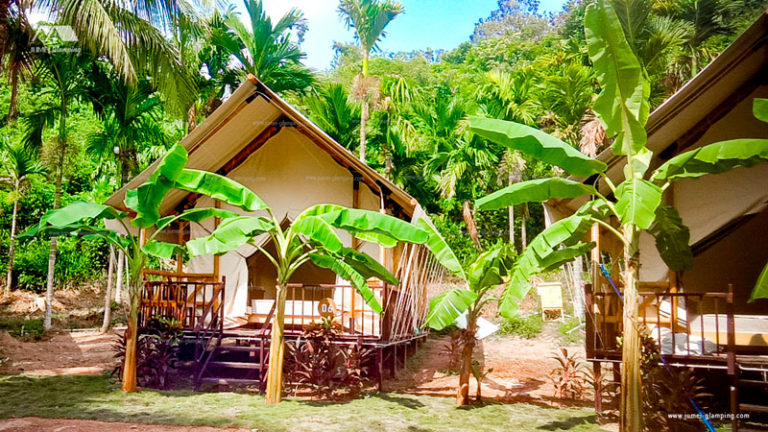 Glamping Safari Tent in the Coconut Tree Forest - Jumei Glamping Tents ...