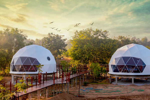 Two Luxury 7M Glamping Domes at a Resort