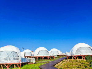 Glamping Domes Resort