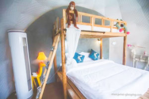 Bunk Bed in the Glamping Dome