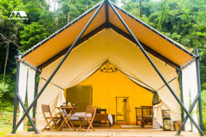 Luxury Safari Tent in the Woods