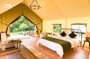 King size bed in the Safari Tent