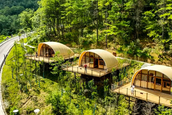 8 Styles 40s Glamping Domes and New Glamping Pods in a Resort