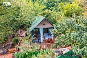 Green Safari Tent in a Landscape Garden
