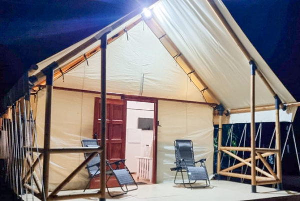 Luxury Safari Tent with Creative Interior Design