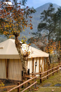 Glamping Safari Tent
