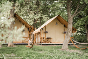 Safari Tents in Glamping Retreat