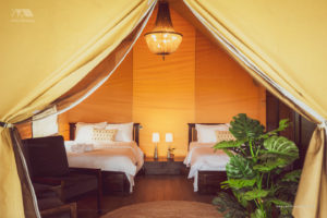 Two Queen Beds in Safari Tent